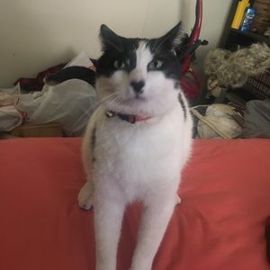 Meet your Posher, Omar